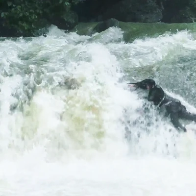 Ngeri! Luna Maya Hadapi Arus Deras di Syuting SUZZANNA: SANTET Dosa di Atas Dosa