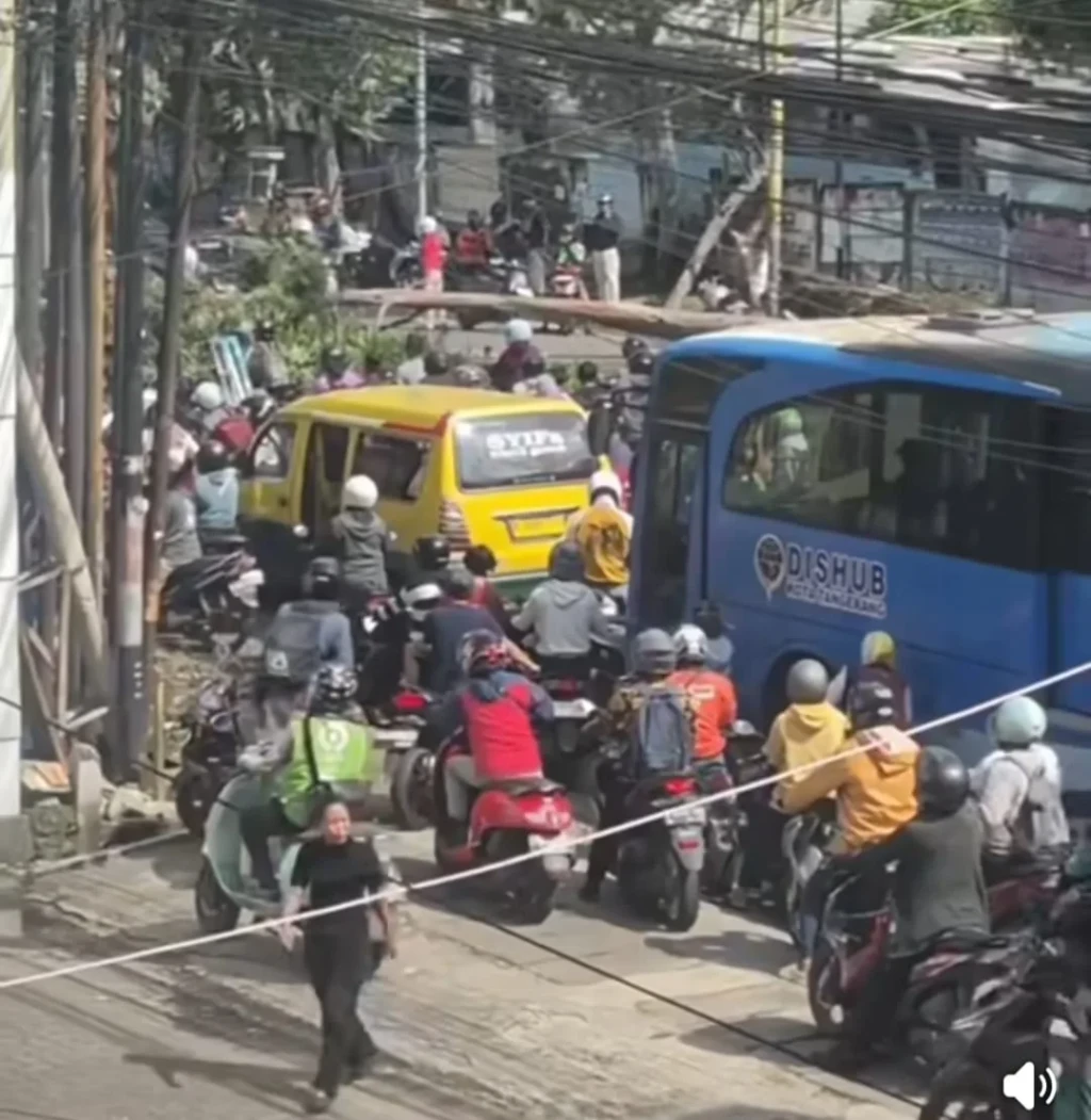 Pohon Tumbang Tutup Jalan KH Hasyim Asyhari Tangerang, Lalin Tersendat