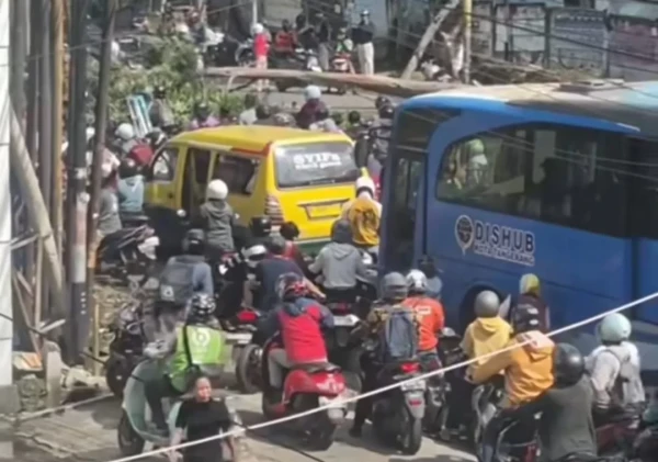 Pohon Tumbang Tutup Jalan KH Hasyim Asyhari Tangerang, Lalin Tersendat