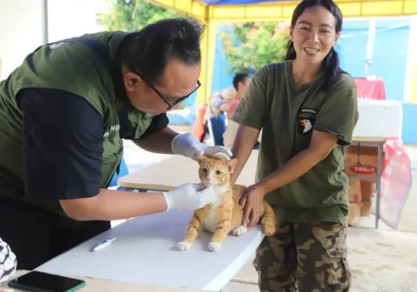 Pemkot Tangerang Gelar Vaksinasi Rabies Gratis Selama Ramadan hingga 11 Maret