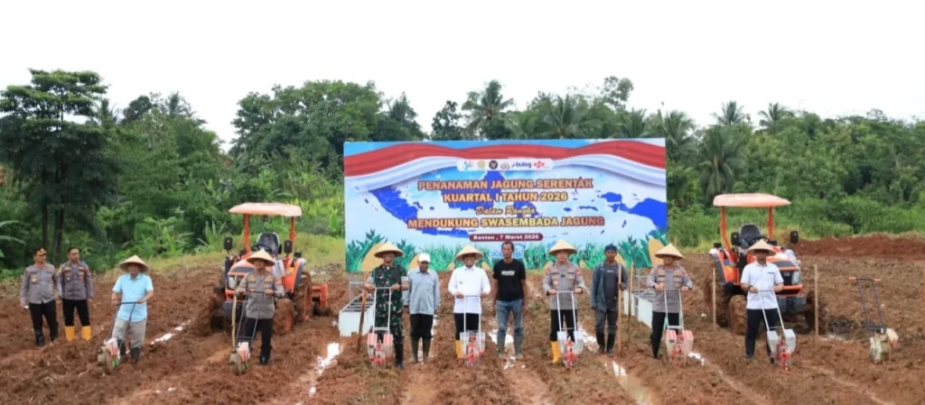 Polda Banten Tanam Jagung Serentak Kuartal I 2026, Dukung Swasembada Pangan Nasional