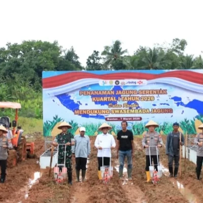 Polda Banten Tanam Jagung Serentak Kuartal I 2026, Dukung Swasembada Pangan Nasional