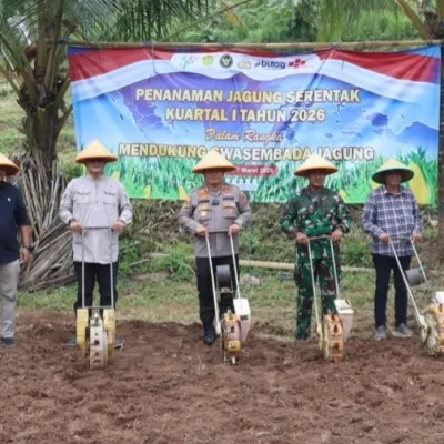 Polres Cilegon Tanam Jagung 10 Hektare, Dukung Swasembada Pangan Nasional