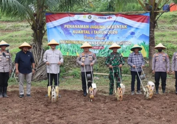 Polres Cilegon Tanam Jagung 10 Hektare, Dukung Swasembada Pangan Nasional