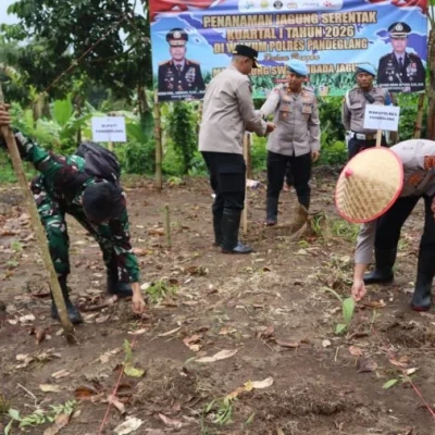 Polres Pandeglang Tanam Jagung Serentak di Kalanganyar, Perkuat Ketahanan Pangan