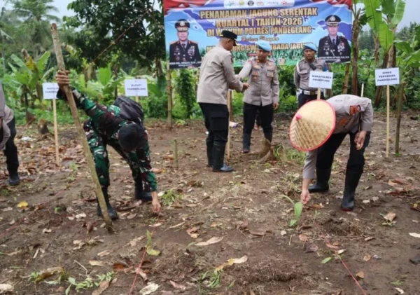 Polres Pandeglang Tanam Jagung Serentak di Kalanganyar, Perkuat Ketahanan Pangan