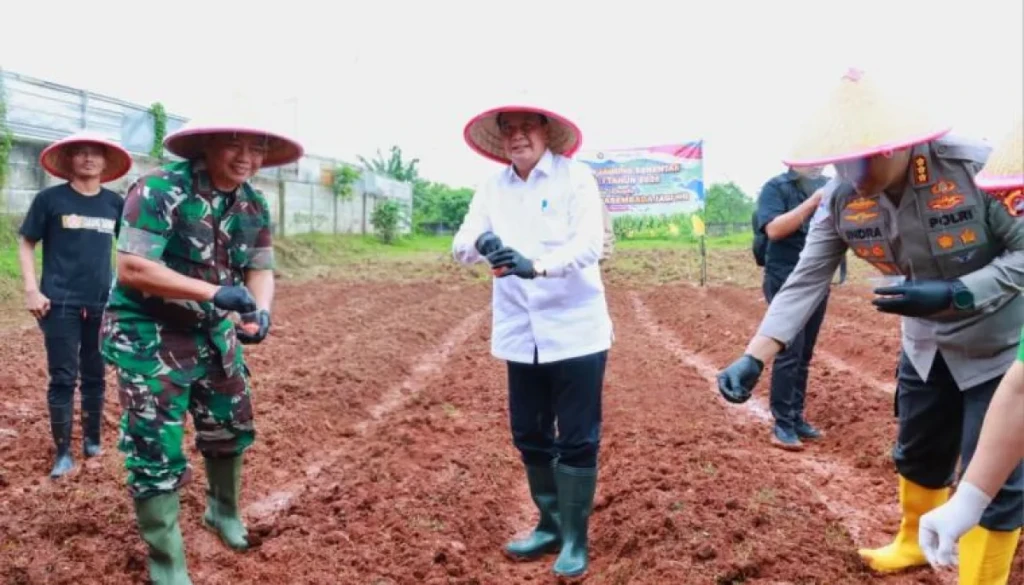 Bupati Tangerang dan Forkopimda Tanam Jagung Hibrida Serentak Perkuat Ketahanan Pangan