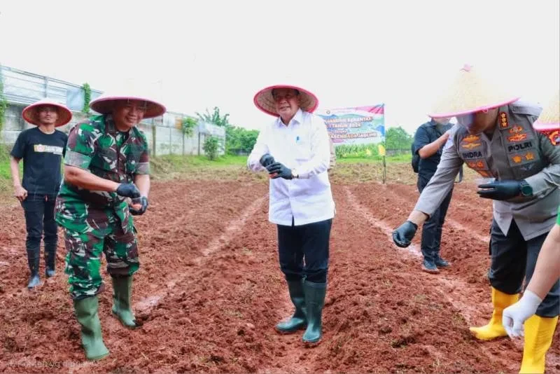 Bupati Tangerang dan Forkopimda Tanam Jagung Hibrida, Antisipasi Krisis Pangan Global