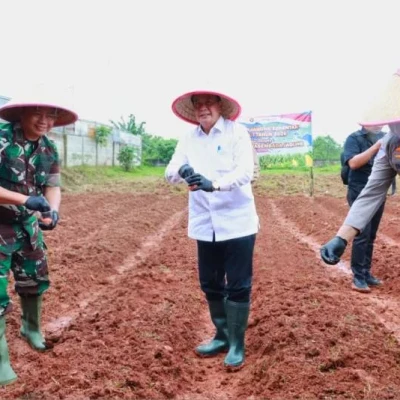 Bupati Tangerang dan Forkopimda Tanam Jagung Hibrida, Antisipasi Krisis Pangan Global