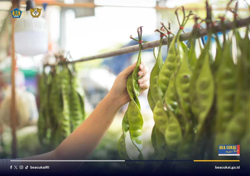 Bea Cukai Palembang Fasilitasi Ekspor 5,5 Ton Petai dari Sumatra Selatan