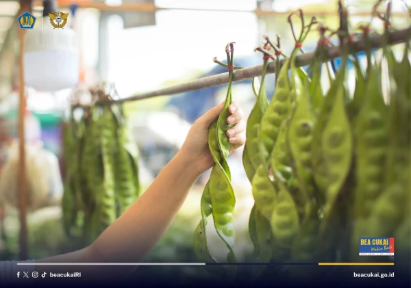 Bea Cukai Palembang Fasilitasi Ekspor 5,5 Ton Petai dari Sumatra Selatan