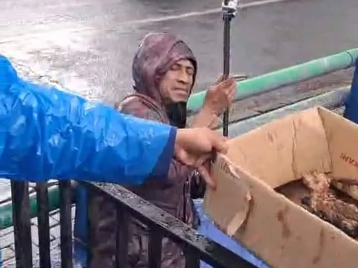 Damkar Ciledug Evakuasi Dua Anak Kucing Terjebak di Drainase Jalan Pikun Tangerang