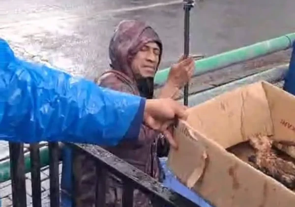 Damkar Ciledug Evakuasi Dua Anak Kucing Terjebak di Drainase Jalan Pikun Tangerang