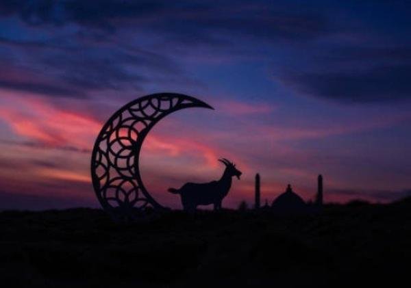 Makna dan Manfaat Kurban dalam Idul Adha