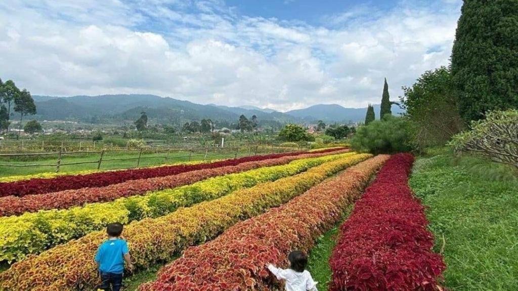 Liburan Keluarga ke Bandung 2025? Ini 6 Tempat Wisata Favorit yang Wajib Kamu Kunjungi