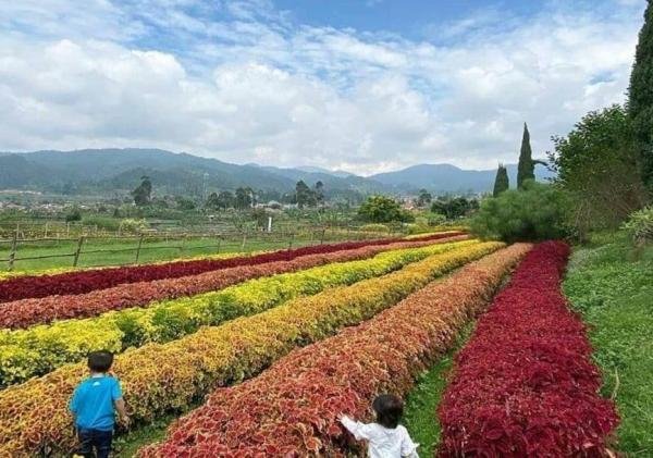 Liburan Keluarga ke Bandung 2025? Ini 6 Tempat Wisata Favorit yang Wajib Kamu Kunjungi