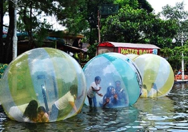 Seru Banget! Inilah Alasan Mengapa Taman Matahari Puncak Wajib Dikunjungi
