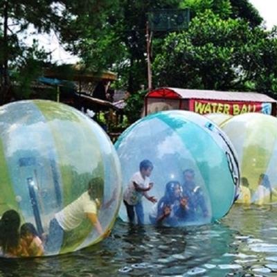 Seru Banget! Inilah Alasan Mengapa Taman Matahari Puncak Wajib Dikunjungi