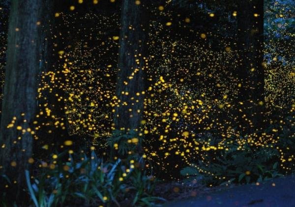 Perbedaan SEO dan SEM: Strategi Digital Marketing yang Wajib Diketahui!