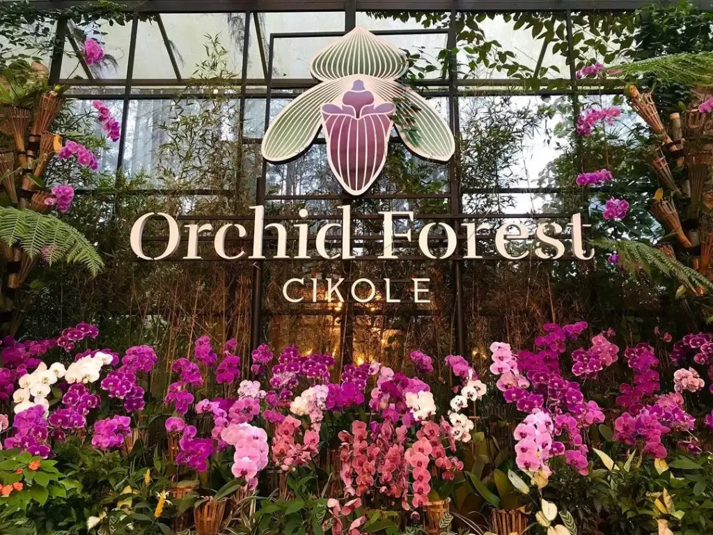 Orchid Forest Cikole Disebut Destinasi Paling Romantis di Bandung Begini Penjelasannya!