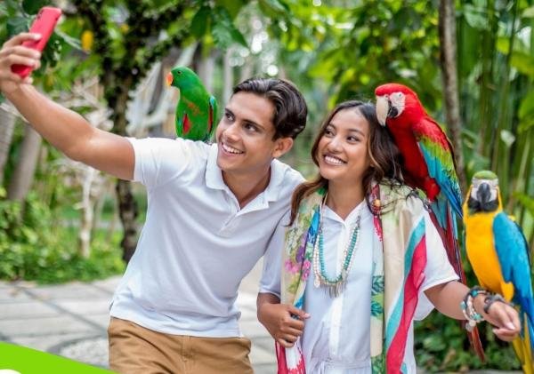 Rasakan Petualangan Bertemu Ratusan Jenis Burung Langka di Bali Bird Park Gianyar