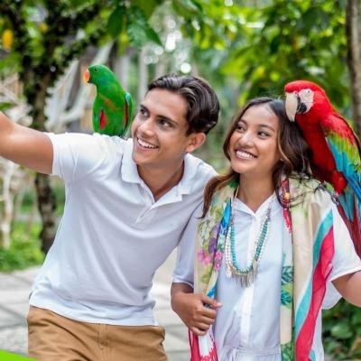 Rasakan Petualangan Bertemu Ratusan Jenis Burung Langka di Bali Bird Park Gianyar