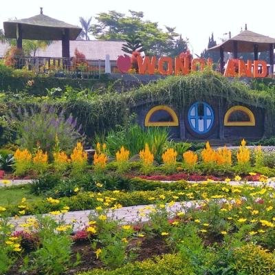 Percantik Tampilan Media Sosial Kamu di Taman Bunga Wonoland Wonosobo