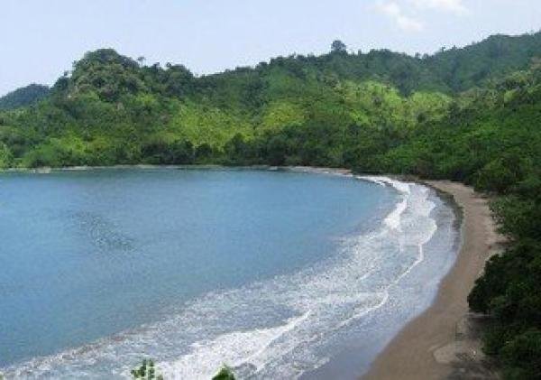 4 Hal Menarik di Taman Nasional Meru Betiri yang Wajib Kamu Ketahui