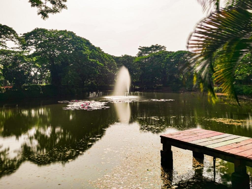 Kebun Bibit Wonorejo Surga Hijau Kekinian di Tengah Kota Surabaya yang Wajib Dikunjungi 2025