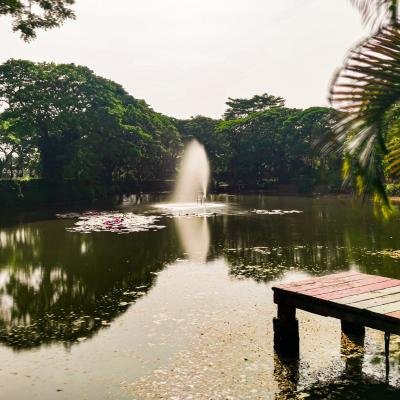 Kebun Bibit Wonorejo Surga Hijau Kekinian di Tengah Kota Surabaya yang Wajib Dikunjungi 2025