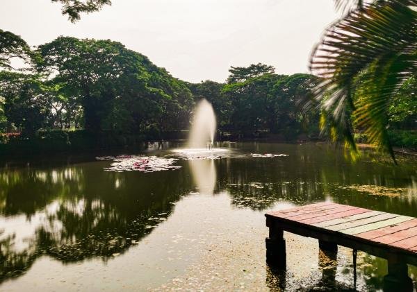 Kebun Bibit Wonorejo Surga Hijau Kekinian di Tengah Kota Surabaya yang Wajib Dikunjungi 2025