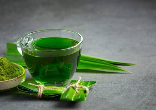 Daun Pandan: Pewarna Alami yang Aman dan Kaya Manfaat untuk Industri Pangan