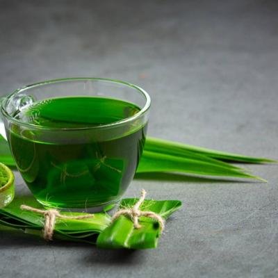 Daun Pandan: Pewarna Alami yang Aman dan Kaya Manfaat untuk Industri Pangan