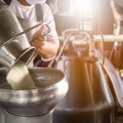 Mengungkap Proses Perubahan Warna pada Susu: Dari Susu Sapi Segar ke Pasteurisasi