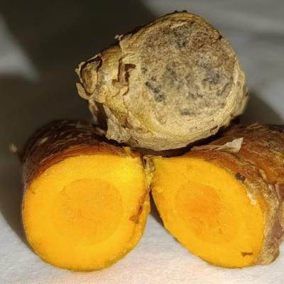 Mengenal Curcumin: Pigmen pada Kunyit yang Memiliki Berbagai Manfaat