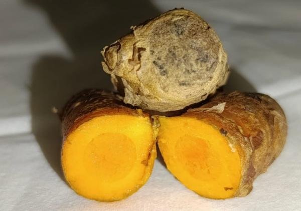 Mengenal Curcumin: Pigmen pada Kunyit yang Memiliki Berbagai Manfaat