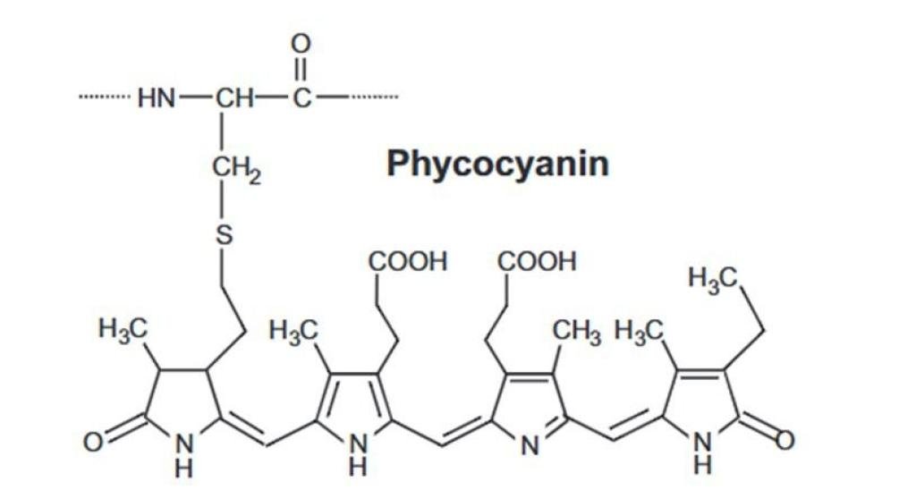 Fikosianin: Pigmen Biru Alami dari Mikroalga yang Kaya Manfaat
