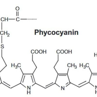 Fikosianin: Pigmen Biru Alami dari Mikroalga yang Kaya Manfaat
