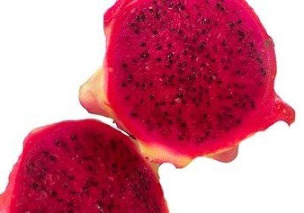 Buah Naga: Keindahan dan Manfaatnya