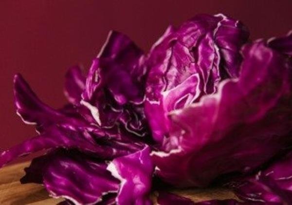Fakta Menarik Kubis Ungu: Mengungkap Rahasia Pigmen yang Mengubah Air Rebusan