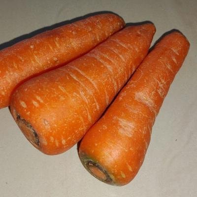 Betakaroten: Pigmen Warna Pada Wortel yang Menyebabkan Kulit Menjadi Kuning