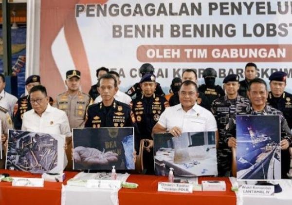 Polri Gagalkan Penyulundupan 151.000 Benih Lobster, Potensi Kerugian Negara Capai Rp15,1 Miliar