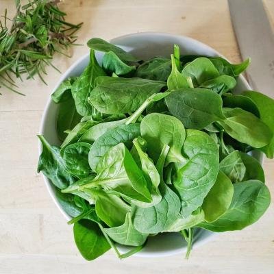 Pilihan Sumber Protein Hemat yang Kaya Manfaat untuk Kesehatan