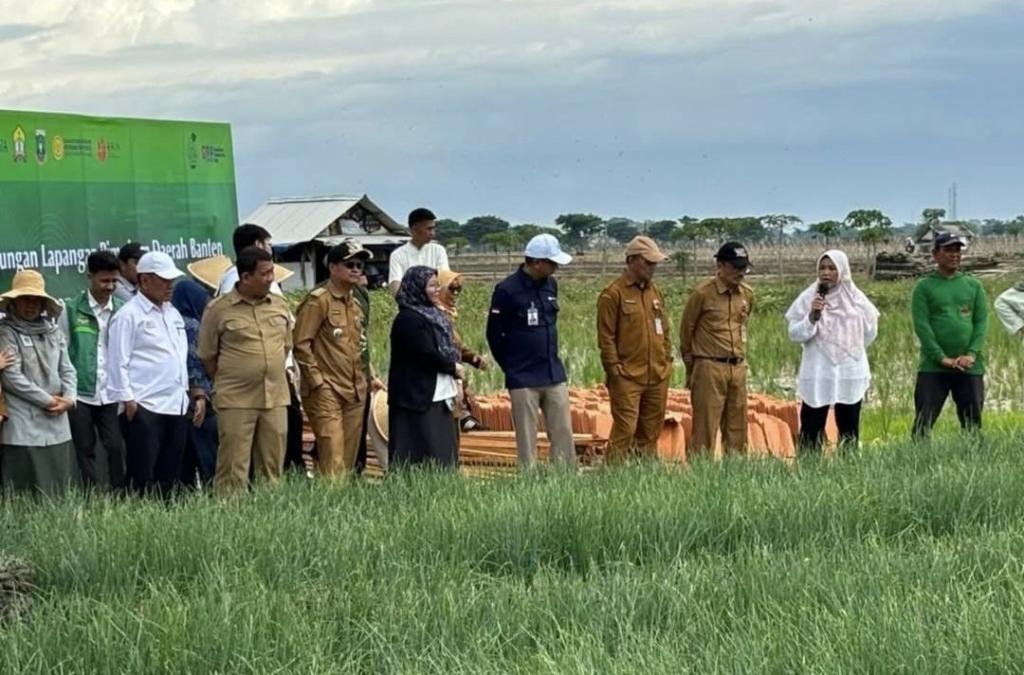 Dinas Pertanian Banten dan BI Wilayah Banten Bersinergi Tingkatkan Produksi Bawang Merah