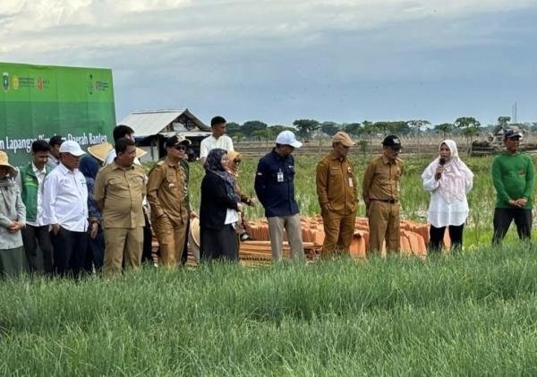 Dinas Pertanian Banten dan BI Wilayah Banten Bersinergi Tingkatkan Produksi Bawang Merah