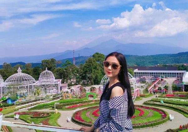 Pesona Taman Bunga Celosia Semarang, Destinasi Liburan Kekinian di Kaki Gunung Ungaran