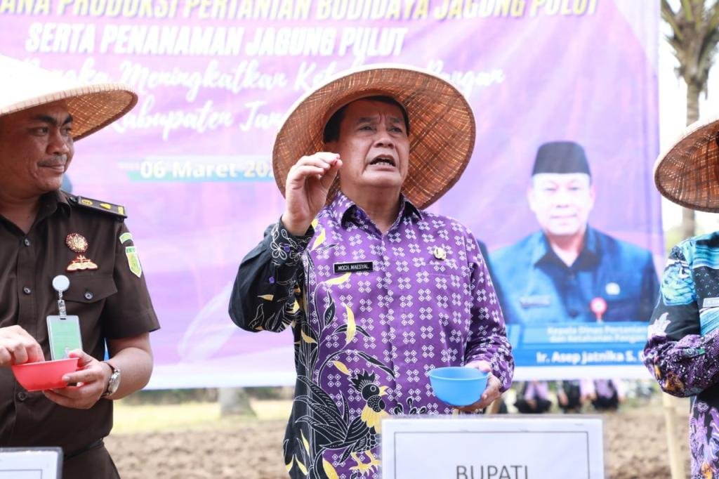 Bupati Tangerang Serahkan Bantuan Pertanian dan Tanam Jagung Pulut untuk Perkuat Ketahanan Pangan