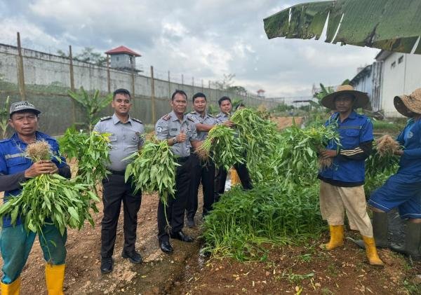Kalapas Banjarbaru Tinjau SAE dan Panen 80 Kg Kangkung Bersama Warga Binaan