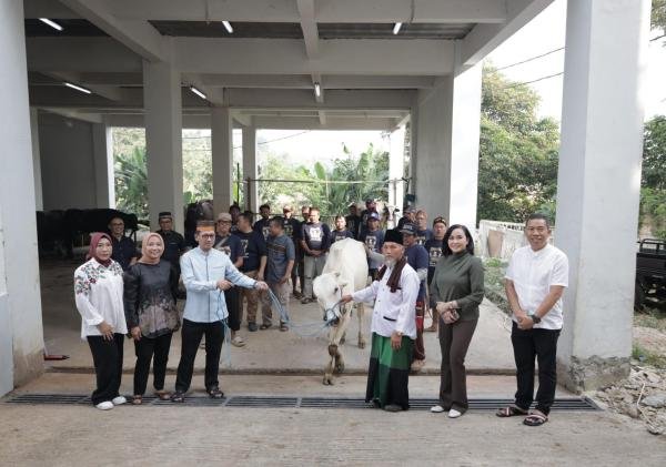 Peringati Idul Adha 1446 H, Kejati Banten Sembelih 35 Hewan Kurban sebagai Wujud Kepedulian Sosial