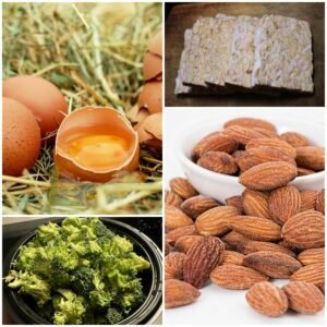 Pilihan Sumber Protein Hemat yang Kaya Manfaat untuk Kesehatan Pilihan Sumber Protein Hemat yang <a href=